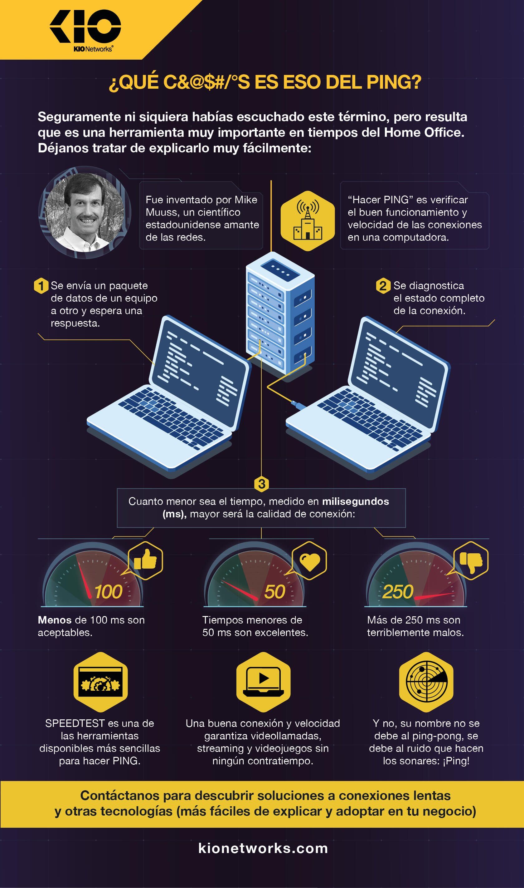 Infografía Ping